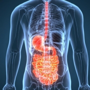 Gastroenteroloji